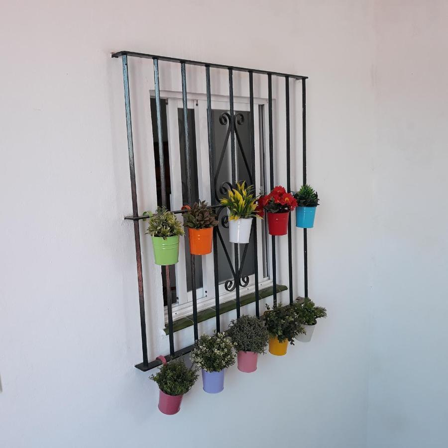 Atico Soleado Apartment Cádiz Exterior photo